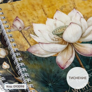  « »    Hatber:   -  !