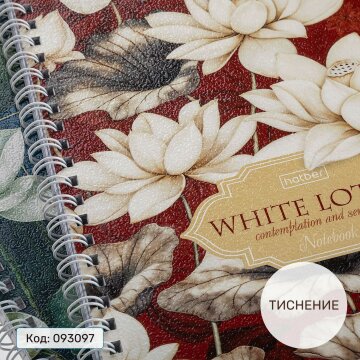  « »    Hatber:   -  !