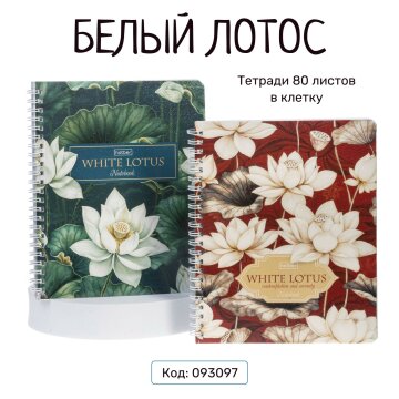  « »    Hatber:   -  !