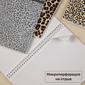  LEO- 4    Hatber:    !
