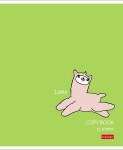  Hatber:    .