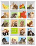  Hatber:   .