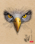 «»  Hatber.